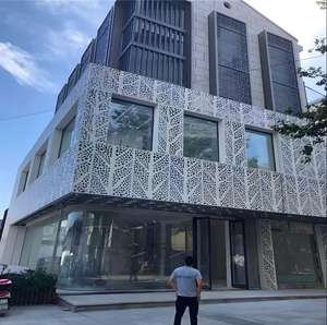 Perforated Aluminum Panels Villas Facade Exterior Courtyard